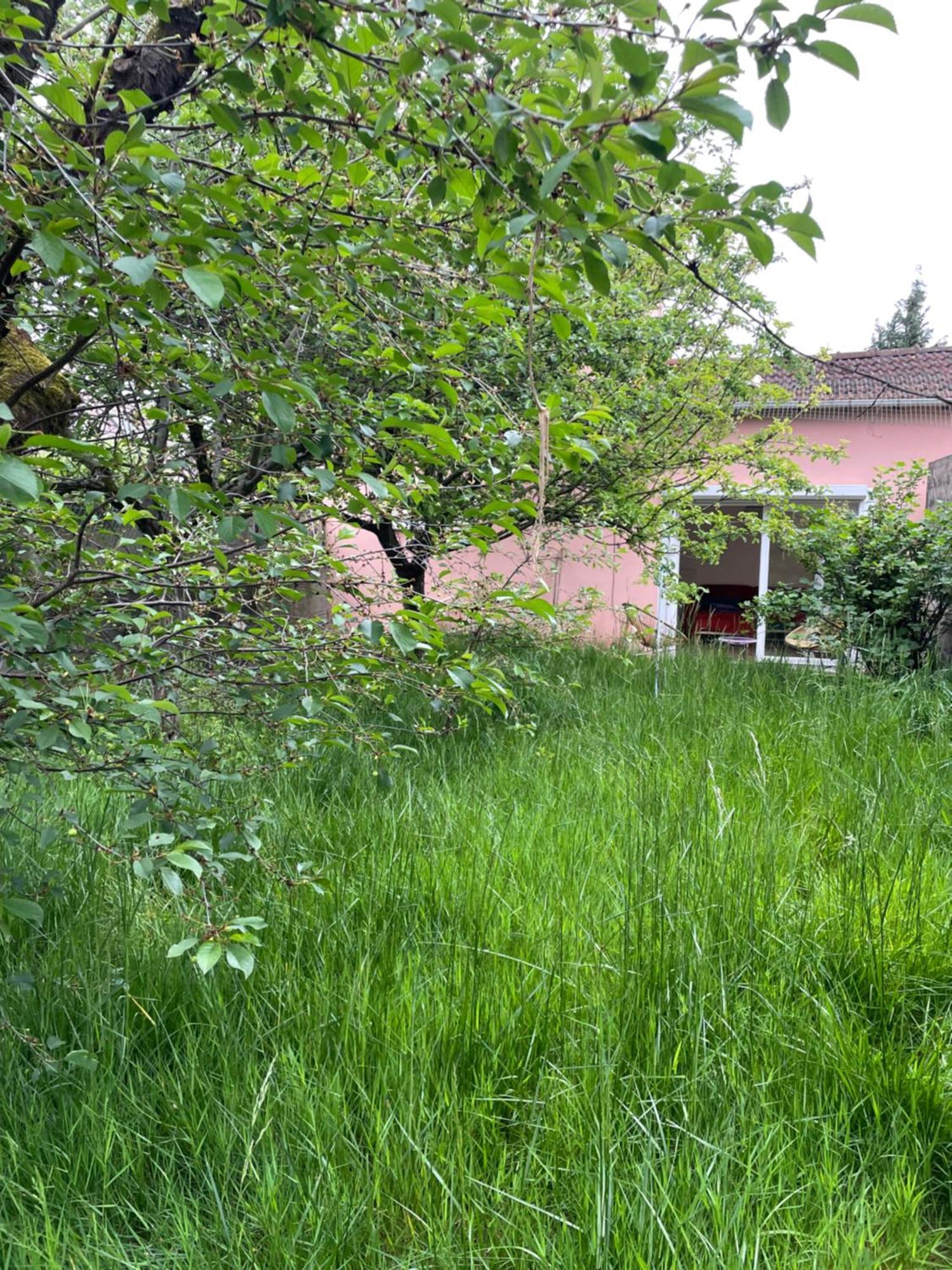 Charmante Maison Avec Jardin Aux Portes De Paris Vitry-sur-Seine Exterior foto